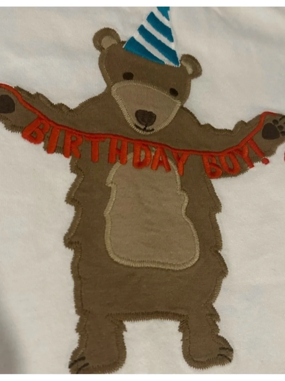Birthday Bear Tee and Green Short set